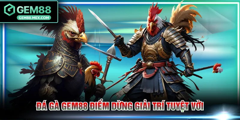 Đá gà GEM88 điểm dừng giải trí tuyệt vời